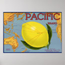 Search for citrus fruit art posters Food