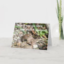 Search for toad cards Nature