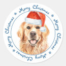 Search for golden retrievers stickers Cute