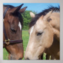 Search for pair posters Equine