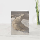 Search for animals vintage christmas cards Xmas