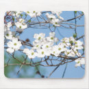 Search for dogwood mousepads Flowers