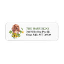 Search for long return address labels Pet