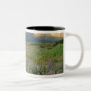 Search for many glacier mugs Chuck haney