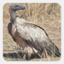 Search for ornithologist stickers Bird watcher