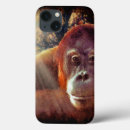 Search for apes cases Orangutan