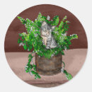 Search for catnip stickers Kitten