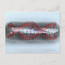Search for capsule postcards Medicine