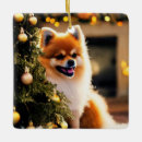 Search for pomeranian christmas tree decorations Pets