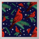 Search for cardinals in winter posters Birds