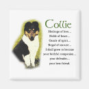 Search for rough collie magnets Collies