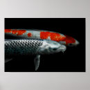 Search for fish stuff posters Orange