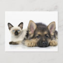 Search for rag postcards Cute
