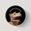 Search for gecko badges Wildlife