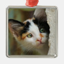Search for calico cat christmas tree decorations Cute