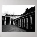 Search for pompeii Photography