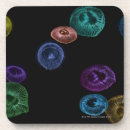 Search for multi coloured coasters Fish