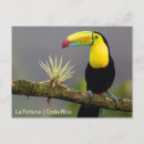 Search for created postcards Photograph