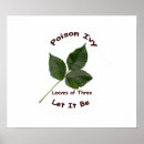 Search for poisonous art Ivy