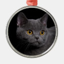 Search for premium christmas tree decorations Cat