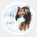 Search for sheepdog stickers Shetland