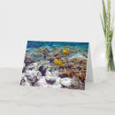 Search for great barrier cards Fish