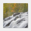 Search for bonds magnets Nature