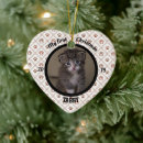 Search for brown tabby cat christmas tree decorations Kitten