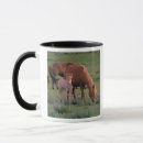 Search for mongolia mugs Asia