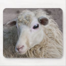 Search for sheeps mousepads Farm