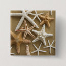 Search for starfish badges Seashell