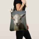 Search for studio shot bags One animal