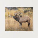 Search for bugles art Antlers