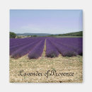 Search for scents magnets Lavender