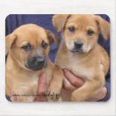 Search for rescue dogs mousepads Animal