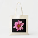 Search for chrysanthemum photography Alan harman photography