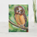 Search for bird mother cards Green