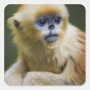 Search for brown eye stickers Wildlife
