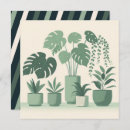 Search for houseplant postcards Monstera