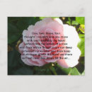 Search for soft rose postcards Elegant