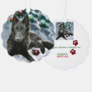 Search for belgian christmas cards Dogs