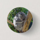 Search for cute koala badges Animal