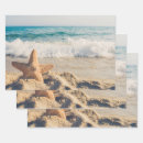 Search for sandy gift wrap Starfish