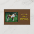 Search for miniature horse Pony