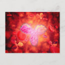 Search for germe postcards Growth