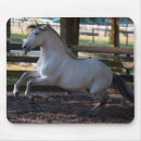 Search for charge mousepads Horse