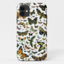 Search for butterfly cases Butterflies