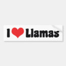 Search for llama bumper stickers Heart