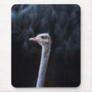 Search for fun faces mousepads Animal