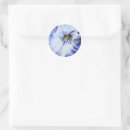 Search for blue iris stickers Irises